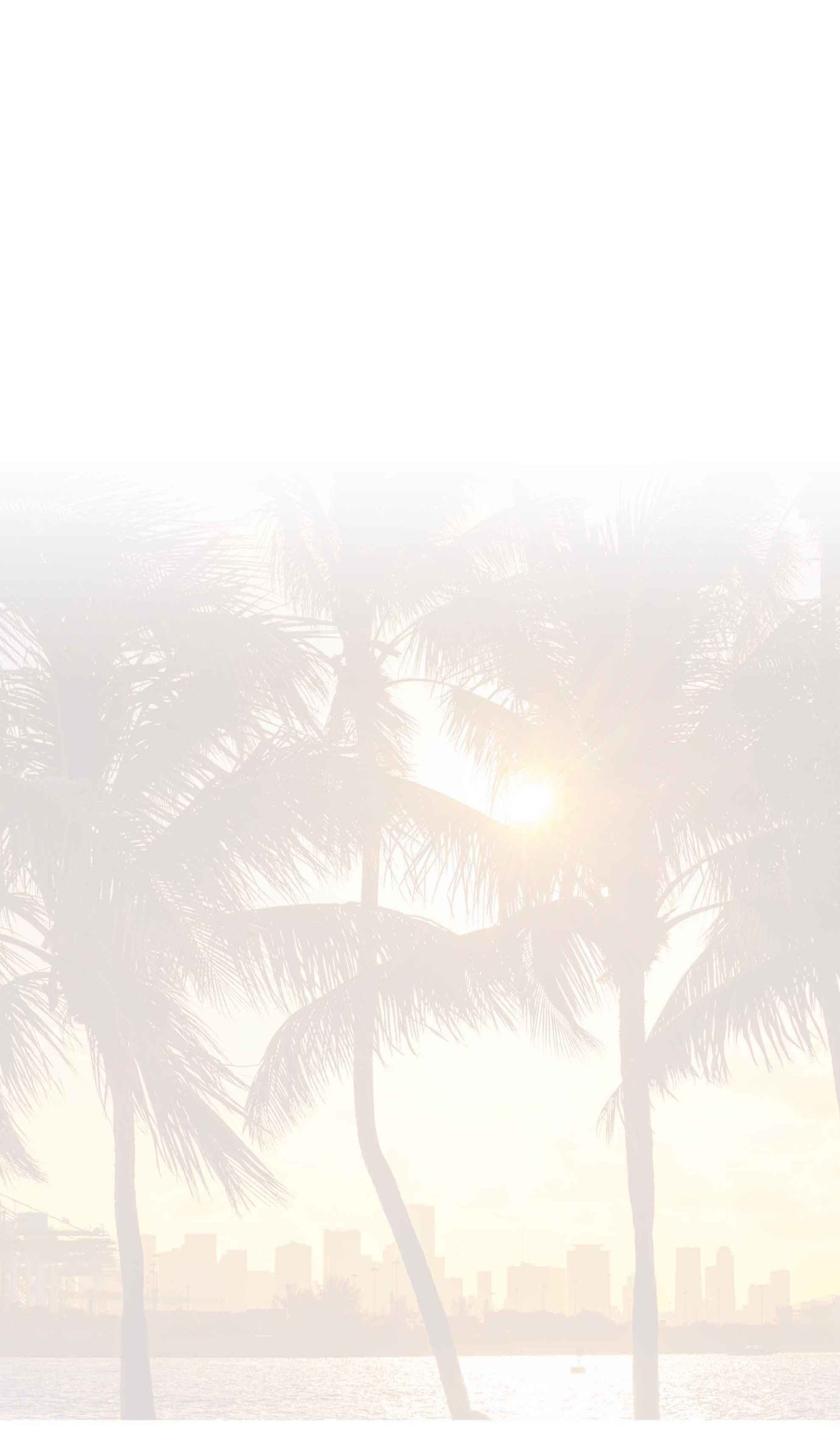 palm tree background to show relaxing feeling